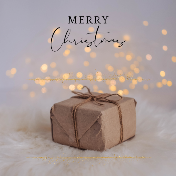 Offre spéciale Noël – 1 cours en visio